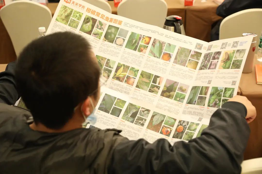 9dedac657a9fab4c16ab2d153186619d