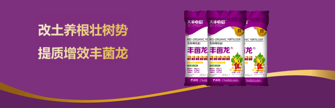 3b3c9c8567cbf991e8be53ac8e78c38d