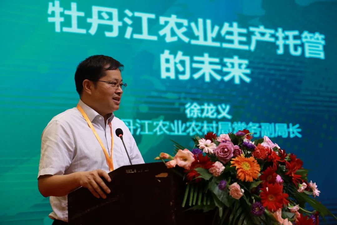 68a8a3553872ea7103a2aa09096e260c