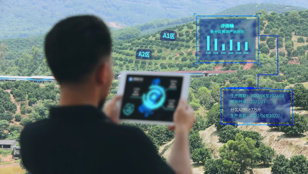 6ddd2ad485b6459dc07cf23f920d1ecb