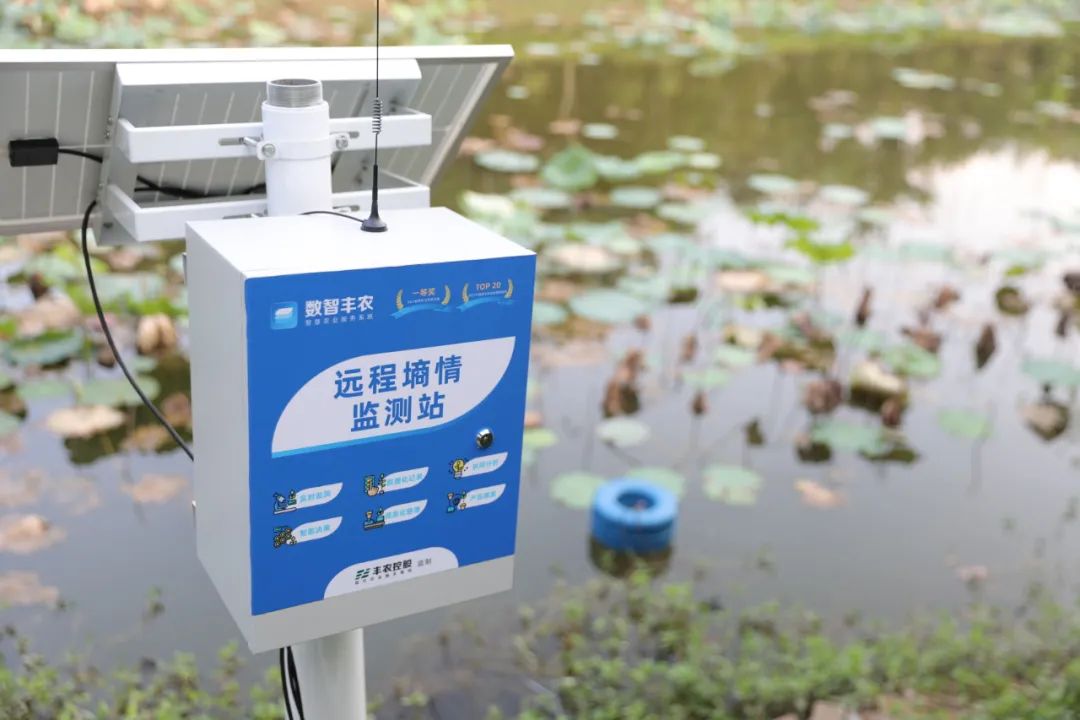 e5ac030a9879a98e34d026ff9407ecaf