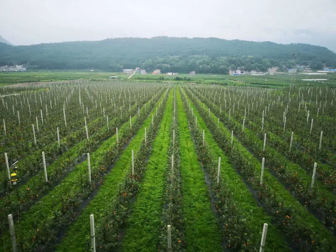 674cd0df37a92325ad4f7eb8dcefe821