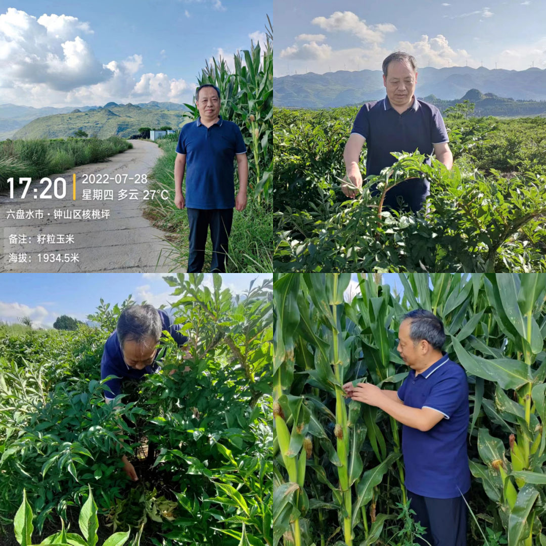 5b87a533b63fd39deeb1c3e6ce1c4e07