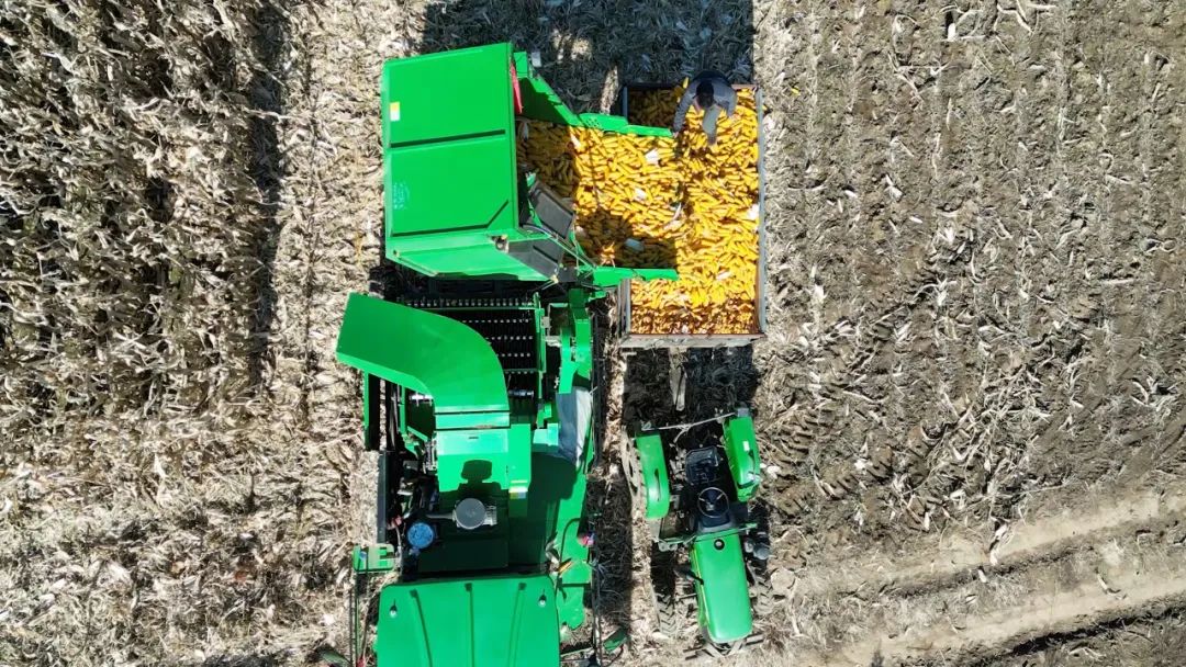 2042c1acc0789ee721a8c68ce3924c4b