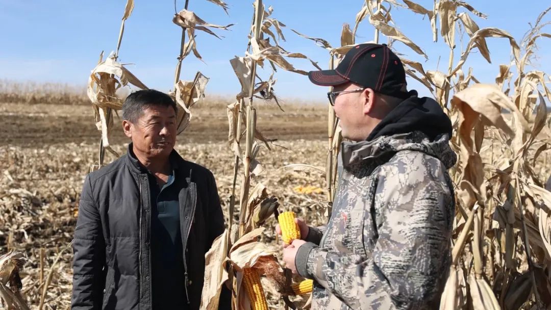 4468c80cb661f2a7ab9aca7884c5777d