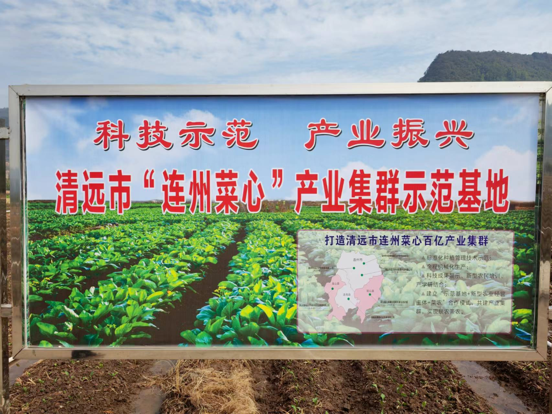 56a419ad53732d5f01e192181f768468