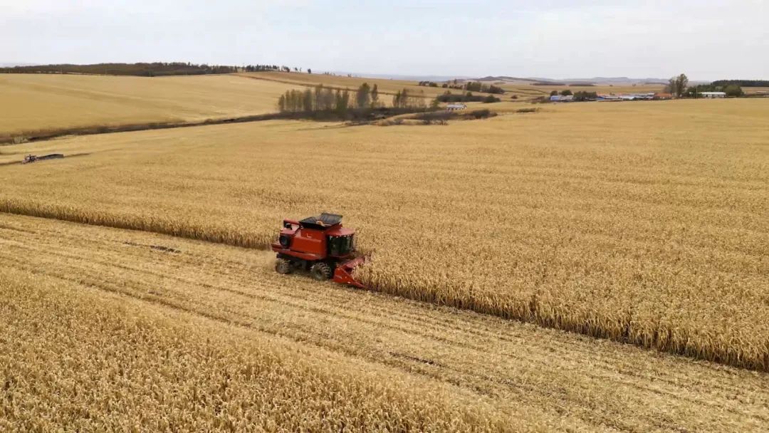 9aa58027742efa71bc70b08508bb51e2