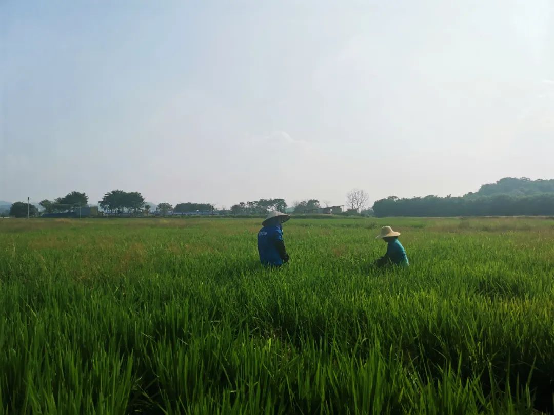 a4a1a769b8b91412facfcb1f08b6afa2