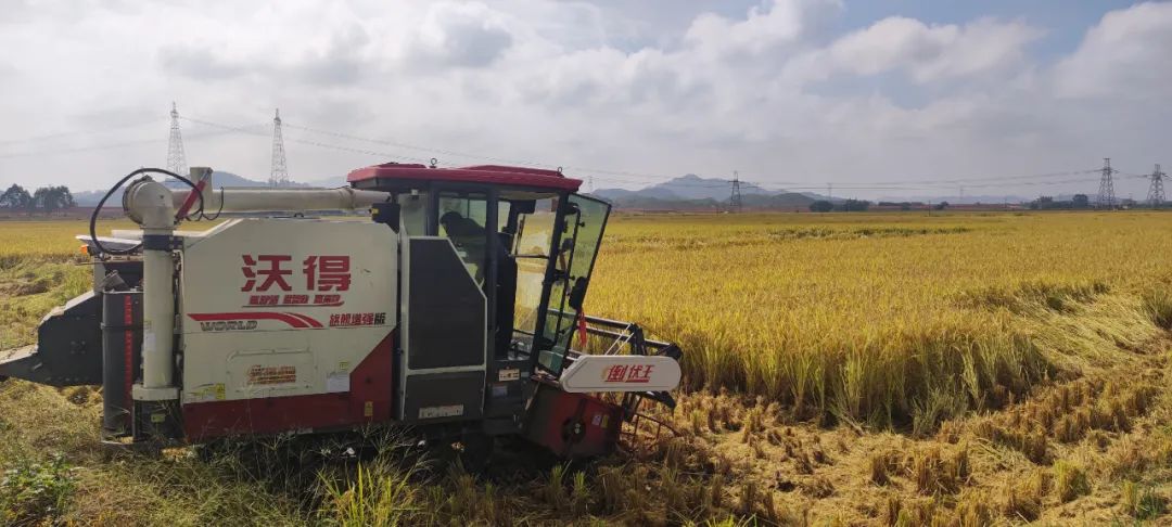 bca98c5356b706624e146ff5585c60b8