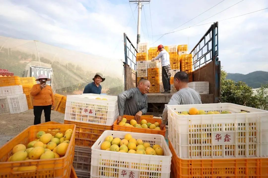 9c9fb9a6aa217bcb2721bae7a1e10498