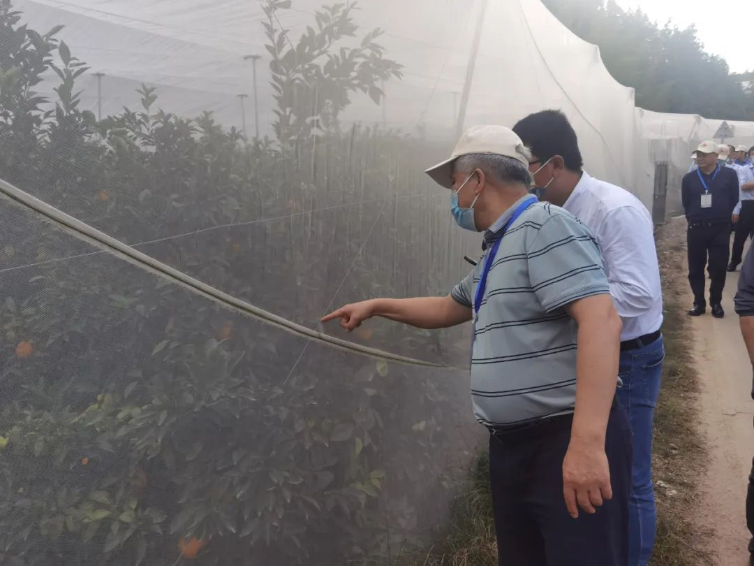 f5195e5c985542edca04139b2ea88b9e