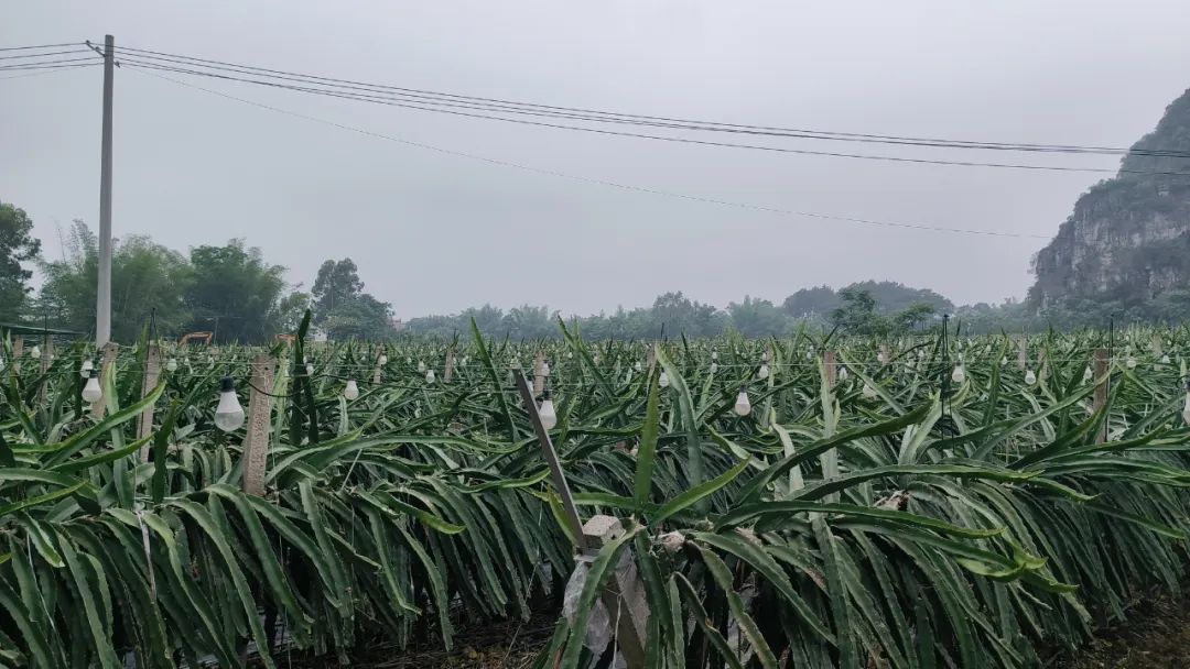 b1ca1f8de2ccff5086d805590ad2b114