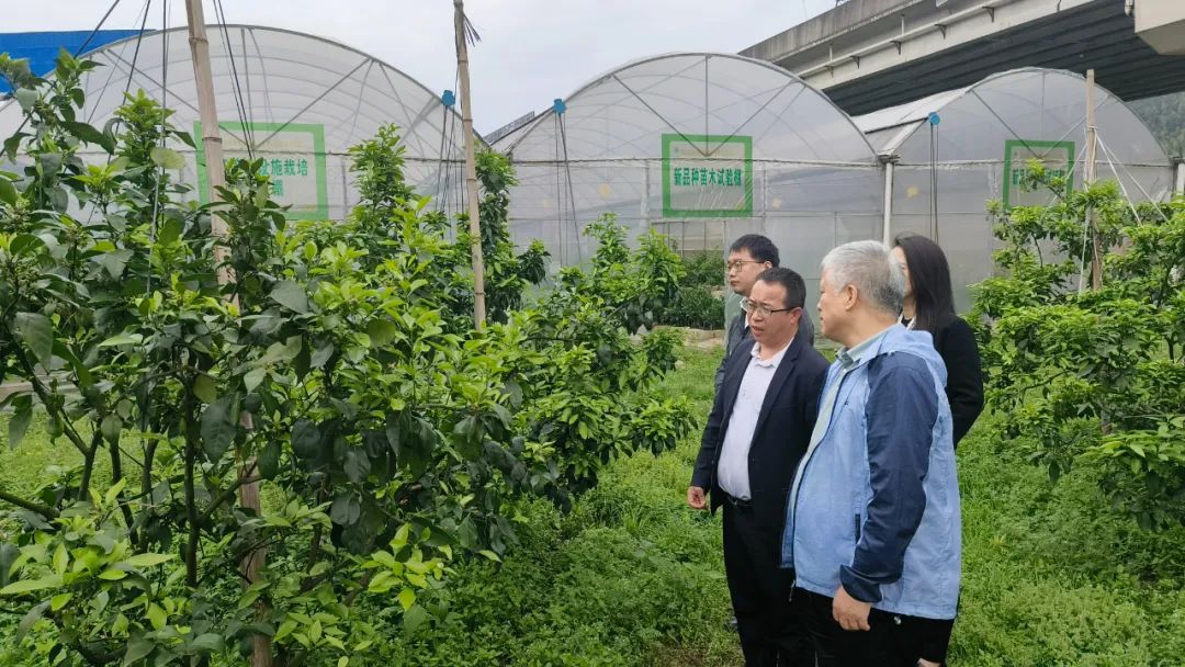 b5cf846c8a4f53a2827ff56734dcd88a