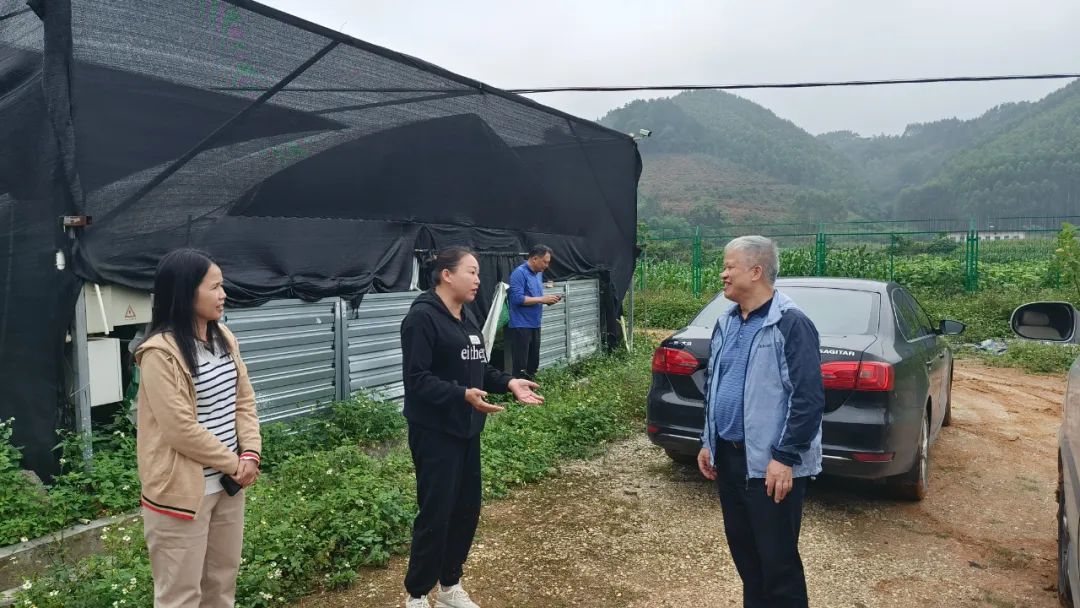 faf98cad9357f2ffd04eb15b63b5529b