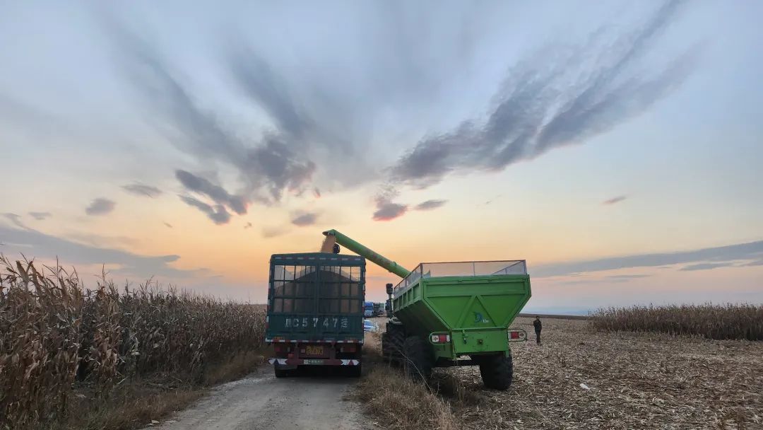 d8ef20ca4623d6335f94fe996b50e89e