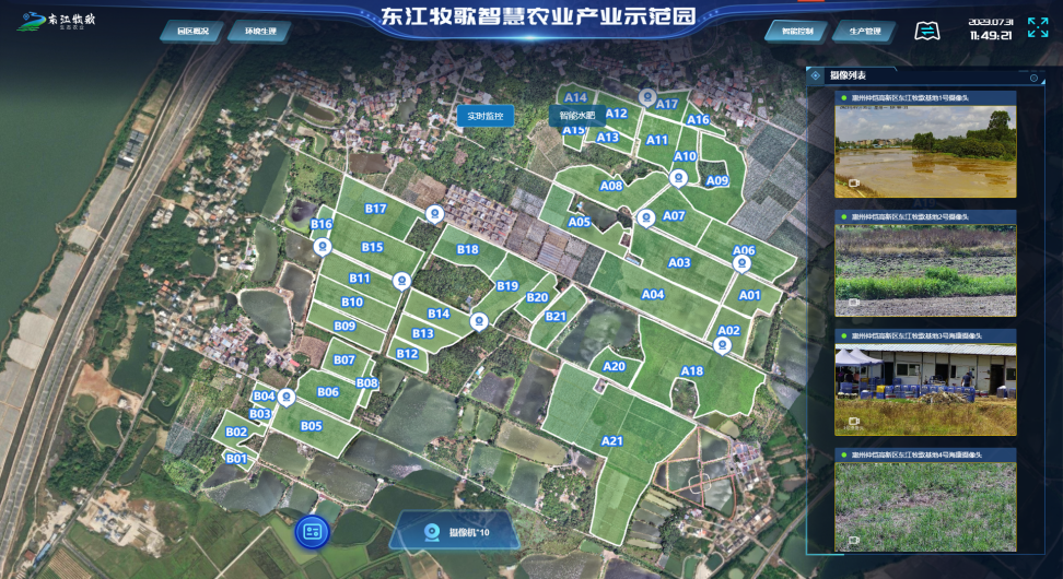 55a6315c5ea99c720c9b268dacafe6c9