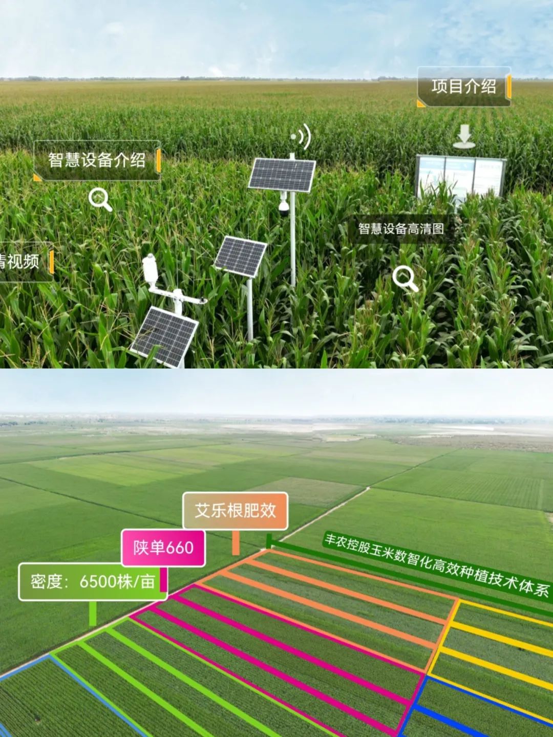 692af80cdd75b56c0b6891159a7b1b6c