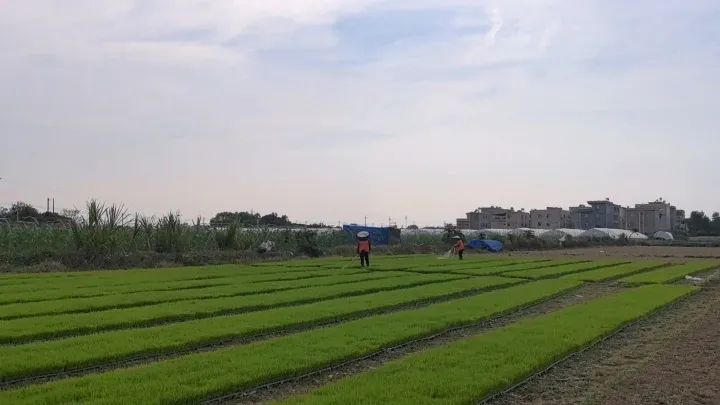 dcd7f7dd546e9d5ce118456c06784d33