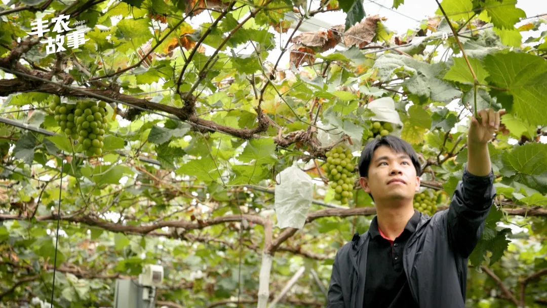 d6a2e40660ad11589c0504b9e3768453