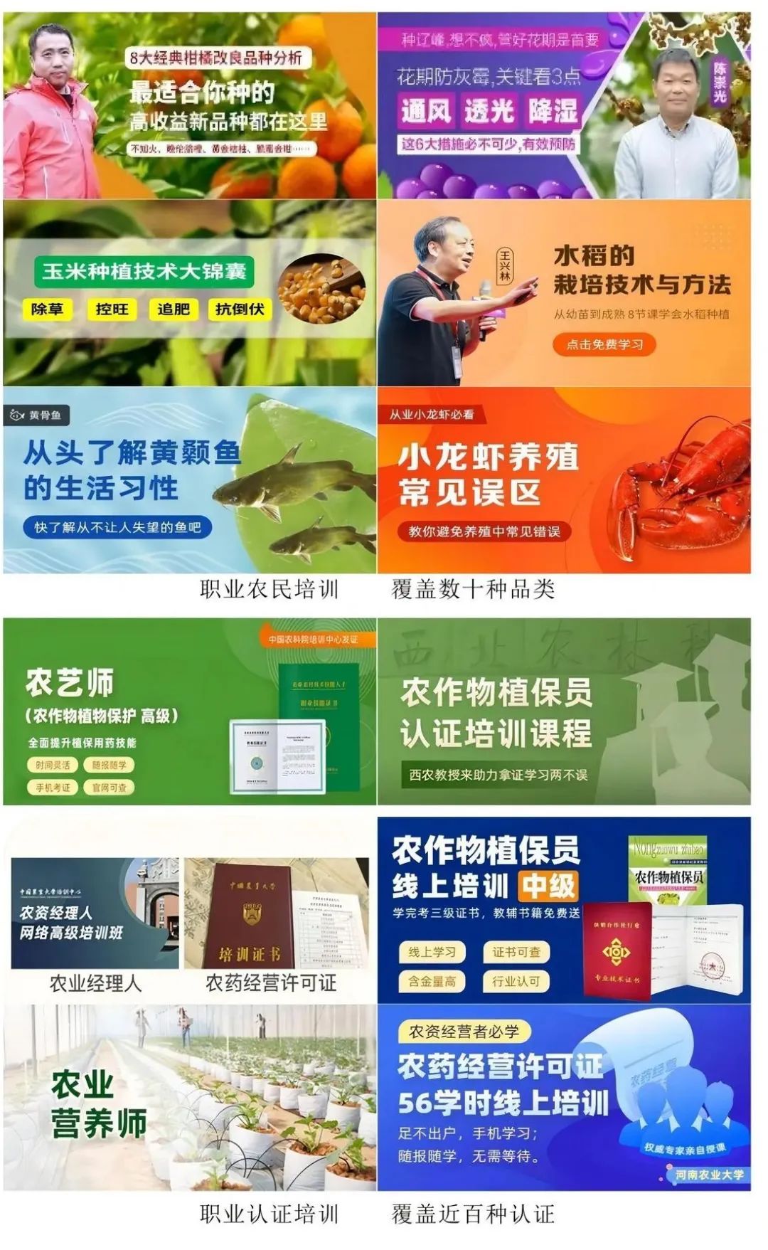 0?wx_fmt=jpeg&amp;from=appmsg