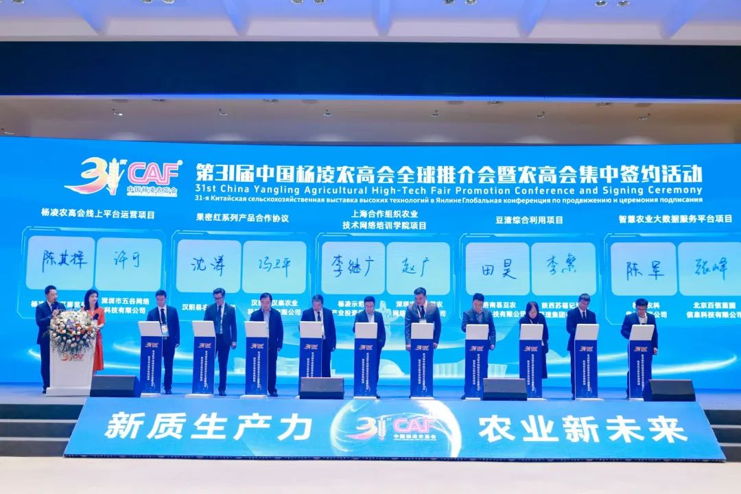 623b5539dc771cbcc57b7542535554bc