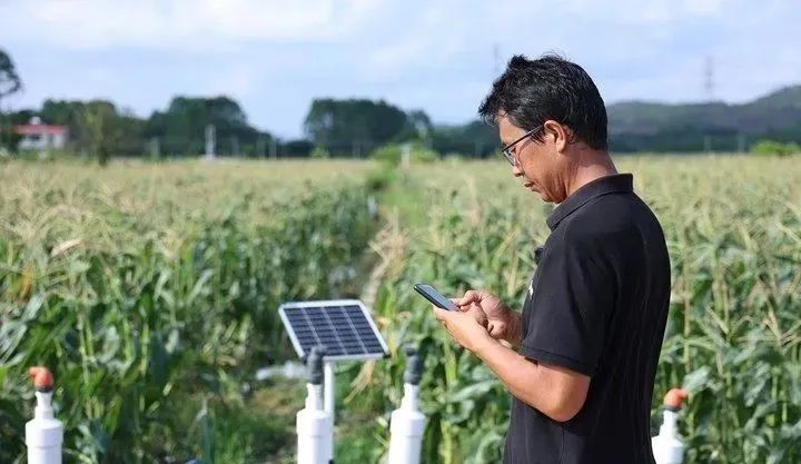 640?wx_fmt=jpeg&amp;from=appmsg