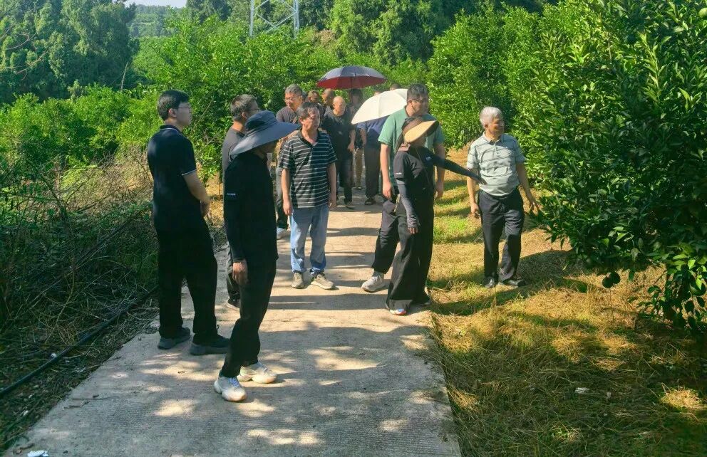 3f4a6ae8d5ba04162317694e03f7b25a