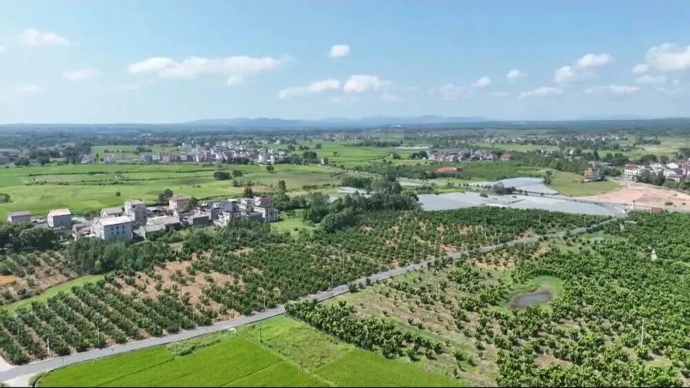 d4d921ea1e91030f3d14c84b6693bed7