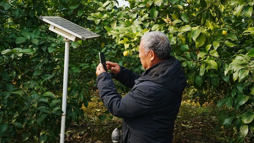 de79a2756740cf22a4bdec67b4ad5399